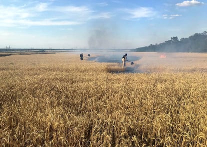 Operarios ucranios apagan un incendio en un campo de trigo en la región de Donetsk tras un bombardeo ruso, el 31 de julio.