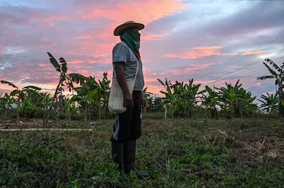 Por su parte, los nasa se justifican argumentando que hace décadas la colonización y los terratenientes los despojaron de sus tierras y los obligaron a refugiarse en las cordilleras, terrenos que dedicados a la conservación y no a la agricultura. Con el crecimiento de sus poblaciones, han optado por recuperar sus antiguas tierras y destruir la caña para sembrar plátano, arroz y maíz. En la imagen, un indígena nasa sobre un terreno ocupado en Corinto, el 29 de agosto de 2022. 