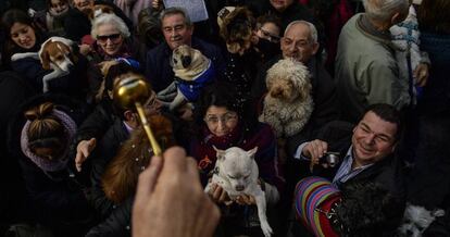 Mascotas y sus dueños, durante la bendición de San Antonio Abad de 2018 en Madrid.