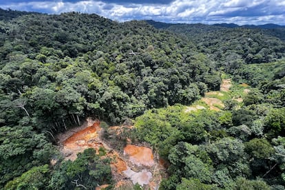 Narcos oro de la Amazonia