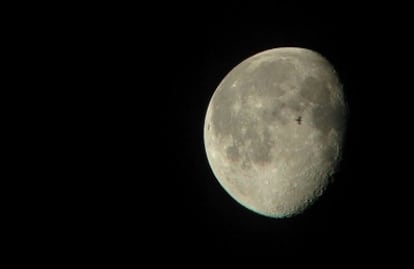 Un ave migratoria silueteada contra la Luna.