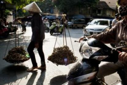 Vendedor de fruta en Hanoi, Vietnam.