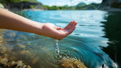 Branded México Acuerdo Agua 2024