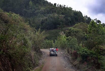 Las carreteras de Tamahú parten la selva en dos. La terracería, como se conoce en Guatemala a los caminos sin asfaltar sobre los que solo los 4x4 sobreviven, se cuela en las zonas más silvestres y recónditas del país centroamericano. Hasta donde uno no creería que hacen falta. En este municipio rural del interior, los maleteros de las 'pickups' siempre van llenos de agricultores que aguantan los tumbos con tal de caminar un poco menos bajo el calor húmedo del Caribe.