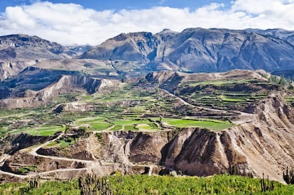 Andener&iacute;as, laderas transformadas en terrazas con riego que dan nombre a los Andes, en el peruano valle del Colca. 