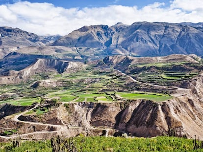 Andenerías, laderas transformadas en terrazas con riego que dan nombre a los Andes, en el peruano valle del Colca.