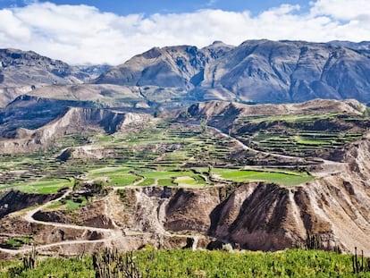 Andener&iacute;as, laderas transformadas en terrazas con riego que dan nombre a los Andes, en el peruano valle del Colca. 