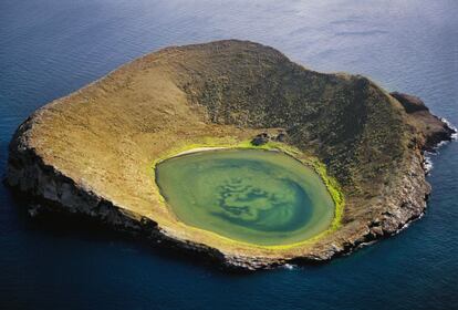 Un cráter volcánico en las Galápagos, un archipiélago formado por 13 islas y declarado patrimonio mundial por la Unesco en 1978.