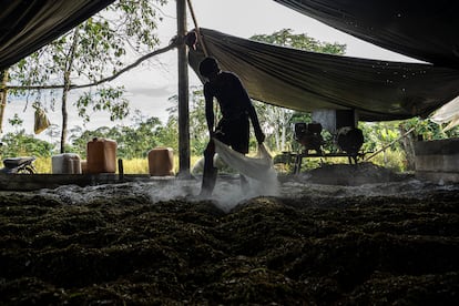 Narcotráfico de cocaína en Colombia