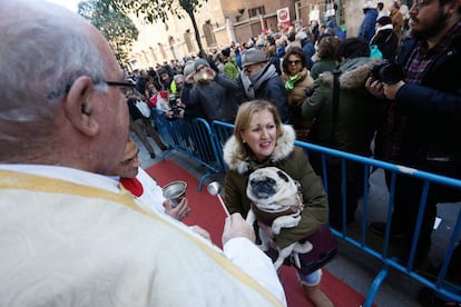 Una mujer lleva a bendecir a su perro con motivo de san Antón.