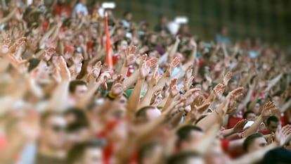 Vayas donde vayas... PUEDES RECICLAR