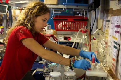 Un investigadora del CSIC trabaja con muestras durante la expedición oceanográfica Malaspina.