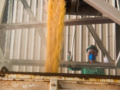 Un trabajador en Sinop carga de grano camiones para transportarlos hacia el norte y exportarlos por barco.