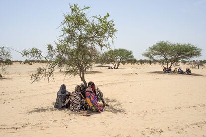 El campo de refugiados de Dar Es Salam, en Chad, es un mar de arena y casetas de plástico que acoge a más de 7.000 personas que han huido de Boko Haram en el noreste de Nigeria.