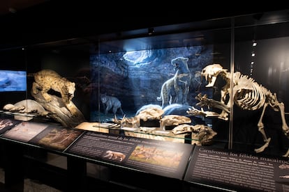La sala Emiliano Aguirre de paleontología madrileña en el Museo de Arqueología Regional.