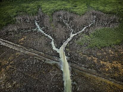 Vertido de petróleo. Delta del Níger, Nigeria, 2016.