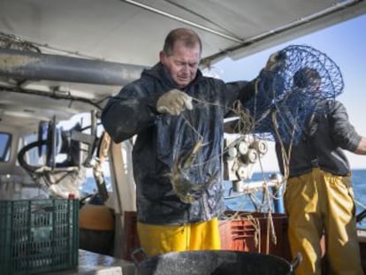 La especie arrasa con los berberechos y las almejas y trastoca el modo de vida de los pescadores