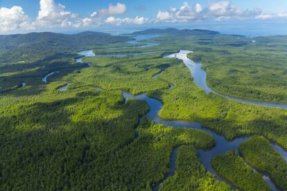 Exótico, exuberante. Son algunos de los calificativos que se ha ganado el parque nacional Corcovado, en la aislada península Osa, al sur de Costa Rica, uno de los más grandes y únicos bosques lluviosos tropicales primarios del mundo, donde operan diversas agencias de ecoturismo. Fue creado para proteger tanta riqueza biológica de los buscadores de oro y las explotaciones forestales, y en sus 13 ecosistemas –manglares, arboledas de palmeras, pantanos– vive el quetzal, el sapo flecha, el cocodrilo, el puma y el jaguar, y cuatro especies de tortugas marinas.