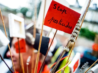 Muestras de apoyo al alcalde Daniel Cueff demandado por la administración francesa por su política antipesticidas en Rennes, en Francia, el 14 de octubre de 2019.