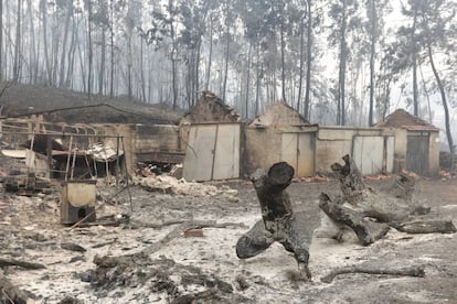 Varias casas afectadas por el fuego en Nodeirinho, cerca de Pedrógão Grande (Portugal).