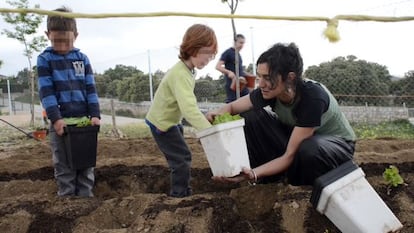 Alumnos del colegio San Bartolom&eacute; plantando el huerto. 