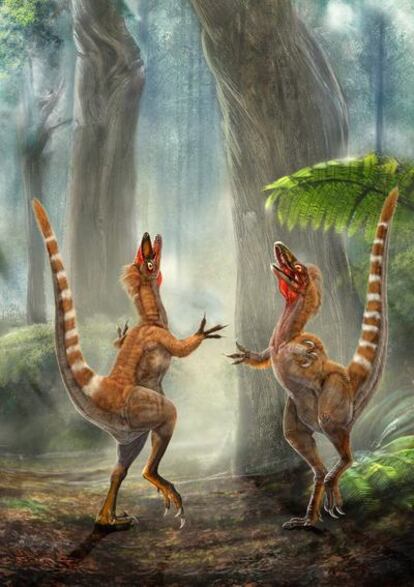 Reconstrucción de dos ejemplares de <i>Sinosauropteryx</i>, con la cola con anillos de color.