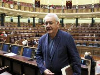 El coordinador general de IU, Cayo Lara.