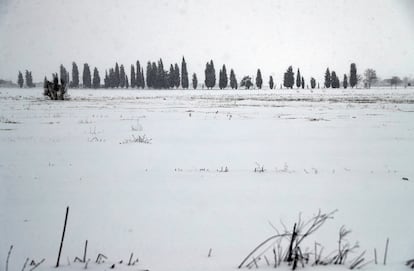 Efectos del temporal 'Filomena' en Talamanca del Jarama, Madrid.