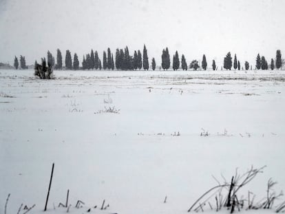 Efectos del temporal 'Filomena' en Talamanca del Jarama, Madrid.