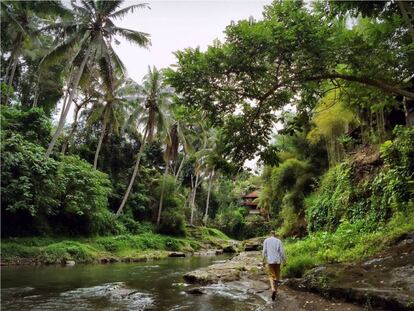 Esto es lo que ven los emprendedores afincados el coworking de Outpost, en Ubud, al salir de la oficina.