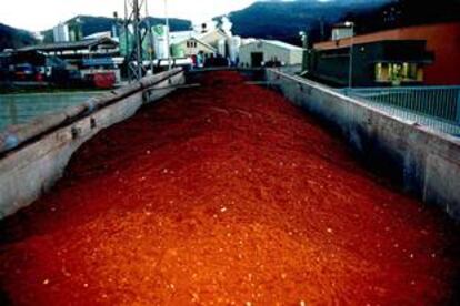 Abono resultante de la incineración de vacas gallegas en una empresa de Sant Joan de les Fonts (Girona).