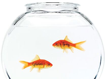 Premio para los peces de Pilot
