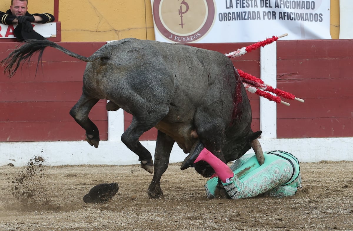 Feria de Céret (Francia): Grave cornada al banderillero José Mora | Cultura  | EL PAÍS