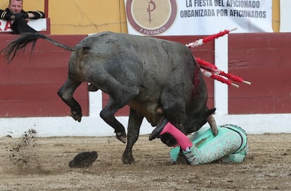 El banderillero José Mora, corneado por el tercer toro de José Escolar.