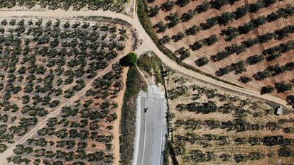 Espartinas/Sevilla/13-05-2019: Carretera sin terminar de ejecutar que uniría la localidad sevillana de Espartinas con la A49.
FOTO: PACO PUENTES/EL PAIS