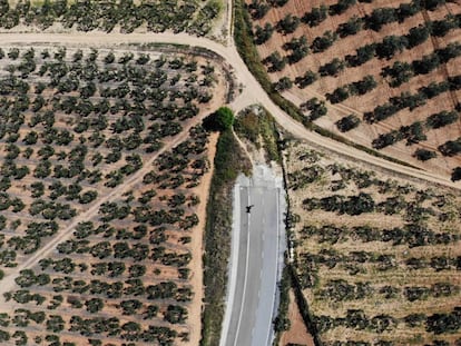 Espartinas/Sevilla/13-05-2019:  Carretera sin terminar de ejecutar que uniría la localidad sevillana de Espartinas con la A49.
 FOTO: PACO PUENTES/EL PAIS