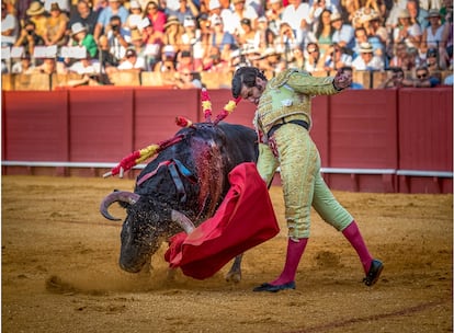 Morante, la tarde del pasado 23 de septiembre, en La Maestranza.