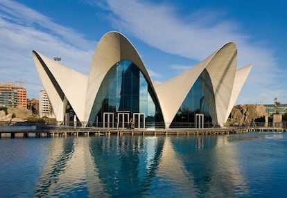 El oceanografic en la Ciudad de las Artes y las Ciencias, en Valencia.