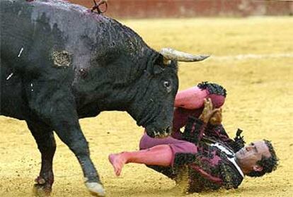 Ángel de la Rosa, en el suelo, por la cogida que sufrió ayer en Valencia con el segundo toro de la tarde.