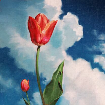 'Tulip'.