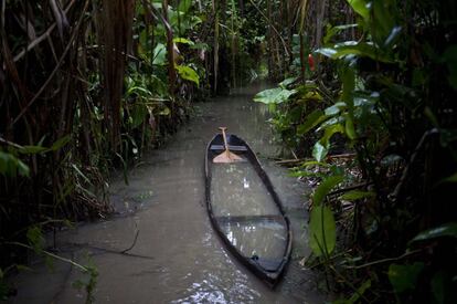 Canoa en medio de un bosque inundable en la Amazonía peruana. Las plantas y animales abundan en este tipo de humedal.