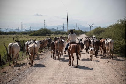 Parque eólico Dos Arbolitos, Juchitán de Zaragoza, Oaxaca.