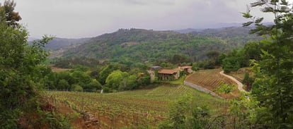 Viña Mein, caserón de ocho habitaciones rodeadas de viñedos en Carballiño, Ourense.
