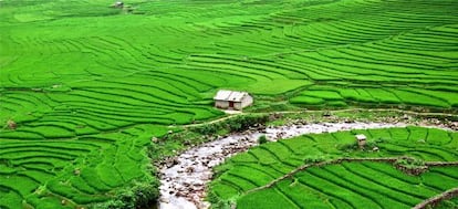 &#039;Casa y mil terrazas&#039;, aldea de Lao Chai, Vietnam.
 
 