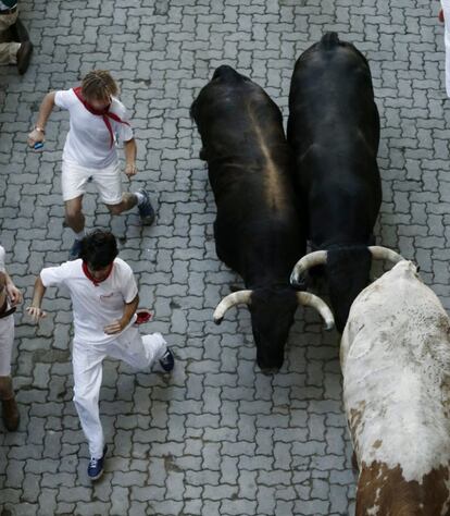 Los toros en el tramo del Callejon.