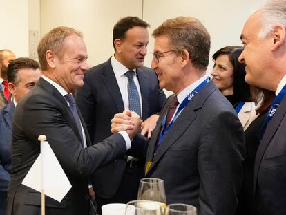 Alberto Núñez Feijóo y Donald Tusk, este jueves en Bruselas, en una imagen distribuida por el Partido Popular.