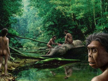 Los homínidos se desplazaron entre continentes, del africano pasaron al asiático.
