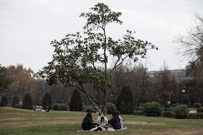 People having a picnic at Ciutadella park, in Barcelona.