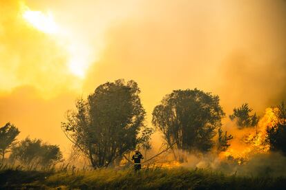 Un bombero en el incendio forestal en la Sierra de la Culebra en Zamora, el pasado 18 de junio.