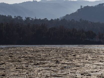 Fotogaleria | La neteja del pantà de Sau després del pas del temporal Glòria